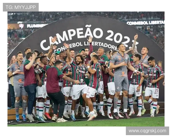 南美解放者杯决赛球队的巴西统治力近十年显著体现